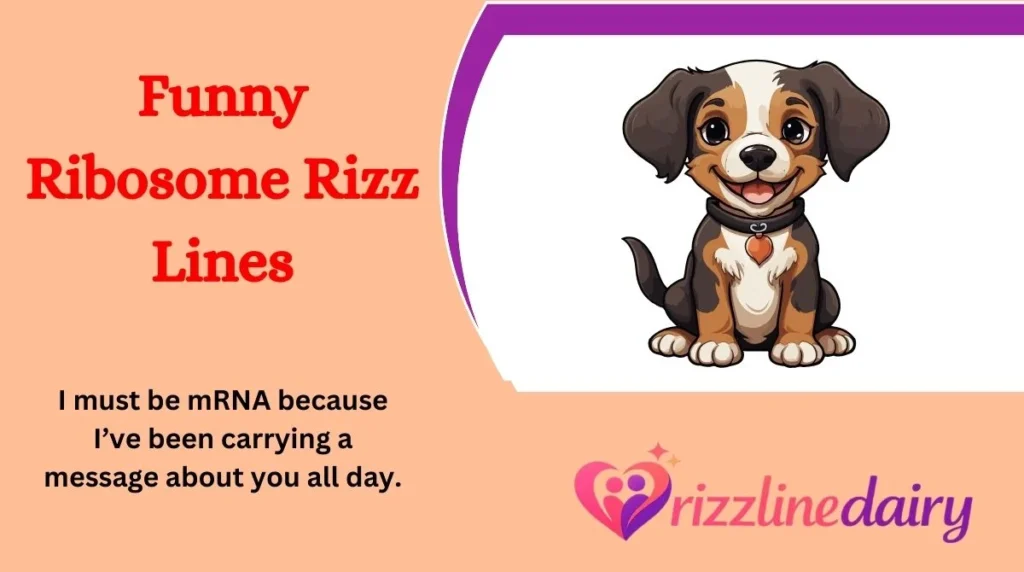 Funny Ribosome Rizz Lines