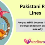 Pakistani Rizz Lines