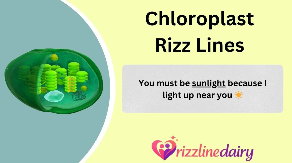 Chloroplast Rizz Lines