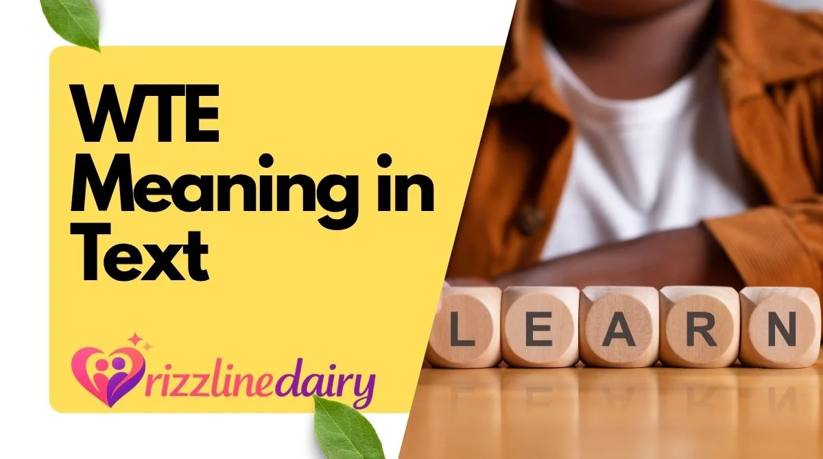 WTE Meaning in Text