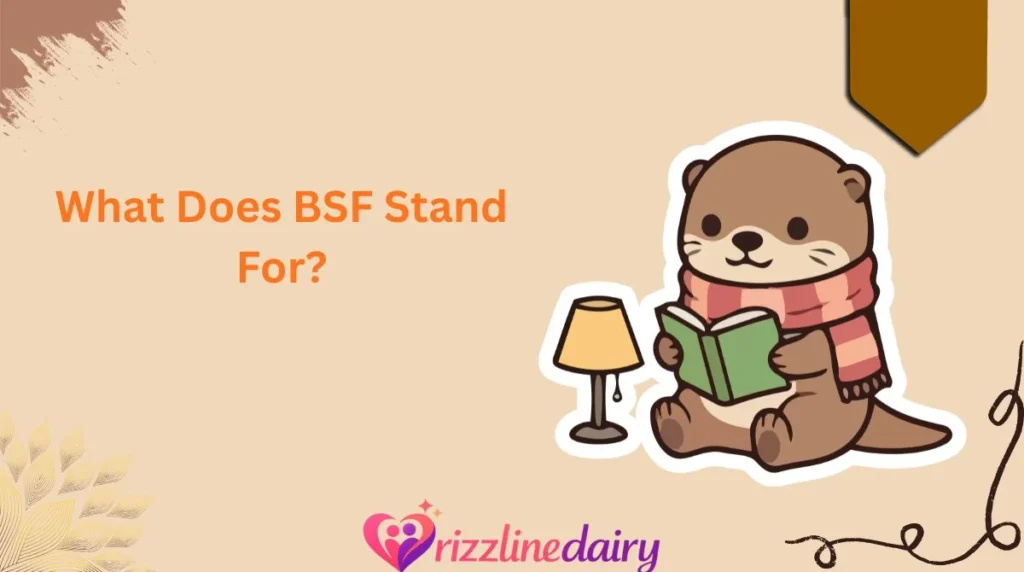 What Does BSF Stand For?