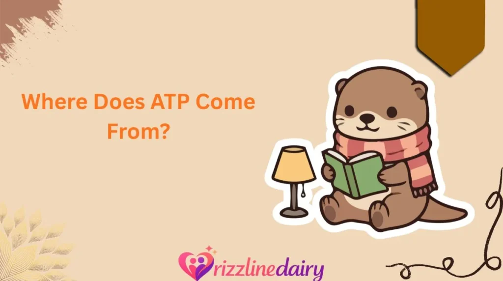 Where Does ATP Come From?